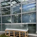 스칸디아모스아트(A) 이미지