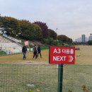 파크골프 입문 | 파크골프 입문 준비물 총정리! 복장·신발·장갑까지 실사용 후기 기반 추천 가이드