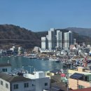 대성갈치찌개 | 기장 대변항 멸치회 맛집 대성갈치찌개 멸치 누드회 가족 식사 후기