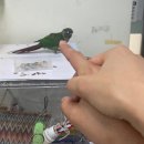 이디야(수송점) 이미지