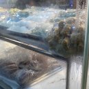 성백영 민속떡 이미지