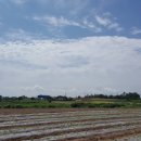 까미농장 이미지