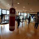 5310복싱클럽 이미지