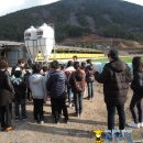 돌산봉덕초등학교 이미지