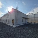 에스제이스토리(sj스토리)