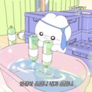 어쩌다 나트랑여행 1