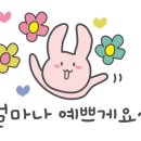 에스더의눈썹