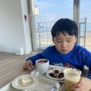 제부도펜션벚꽃