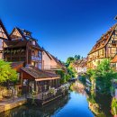 도심속의 평화 이미지