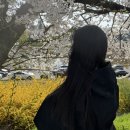 동주독서실