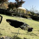 (주)지앤피 2공장 | 양평 대형 베이커리카페 용문산빵공장 내돈내산 솔직 후기