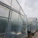 월촌농장2 이미지