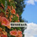 공원로352번길 이미지