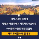 태권도효도관 이미지