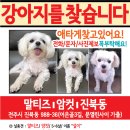 산성우1리 이미지