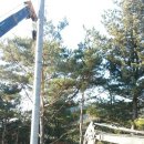 한전주 설치 네이버블로그