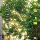 좋은날,여기 이미지