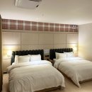 브라운도트2 이미지