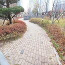 우남부동산공인중개사사무소 이미지