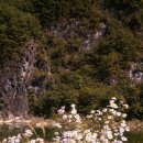 복음농장 이미지