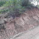 영빈농장 이미지