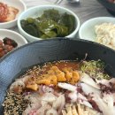 [고성 물회] 고성비치수산회센터에서 즐긴 황제물회 후기