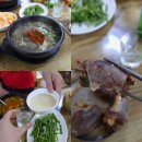 푸른주스 곰팡이 빙그레요 일상