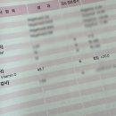 예진클린 | 임신 24주차-26주차 | 임당수치 206, 임당재검 통과, 입체초음파, 임산부하객룩,디마백