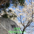 금지면 매촌마을 이미지