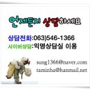 [단독]가정폭력 상담교육중 또 아내 폭행.. 60대 남편 첫 구속 이미지