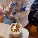 세탁마트 | 짧은 파리 여행 후기 4 (코인세탁, 애견카페, 마트 구경)