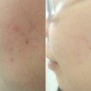 진사이언스 이미지