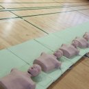 서룡초등학교 이미지