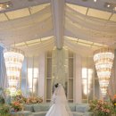 김태우 | 김태우포토 : 본식스냅 후기 I 청주 아모르아트 아모르홀