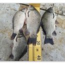 실리곡낚시터 이미지