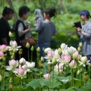 거창창포원 이미지