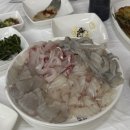 칠암아나구 | 부산온천동맛집 허심청단체횟집 온천장 막썰어횟집 산오징어