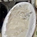 박속낙지 이미지