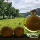 배가농원 이미지