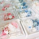 딜라이트보청기 안산본점 | 리부케창업 프리저빙마스터 백업클래스 수업 후기 및 신제품 실습 쥬얼리박스