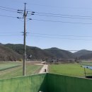 신송산2구 네이버블로그