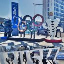 주문진항#20