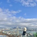 조아짐 영도 | [부산 영도 숙소] 영도 자쿠지 감성 숙소 ‘청학동백’