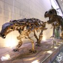 지질박물관 이미지