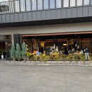 행복한153 | 부산감전동맛집 행복한 장어 후기｜두툼한 국내산 풍천민물장어에 부모님도 만족 가격 주차장 아이랑...
