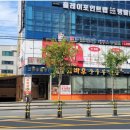 레푸스천안