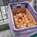 삼호익스프레스 | 대전포장이사 삼호익스프레스 후기 - 진짜 꼼꼼한 업체 찾았어요!