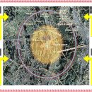 아이프라자(시흥아이프라자) 이미지