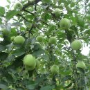 한누리농장 이미지