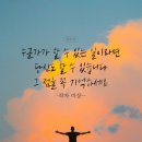 오리엔탈파마 이미지